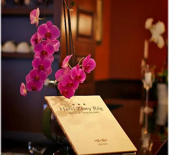 Zloty Rog Hotel